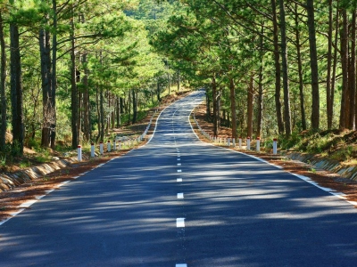 Beautiful-landscape-of-nature-at-Dalat-countryside